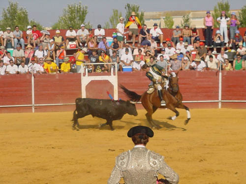 Festival taurino. Foto de archivo