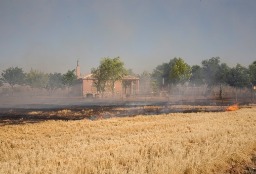 Incendio en la vega. Foto: Juanvi