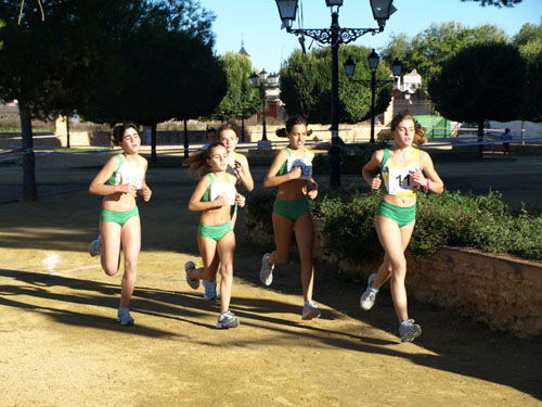 El Cross Local volvió a convertirse en una fiesta del atletismo