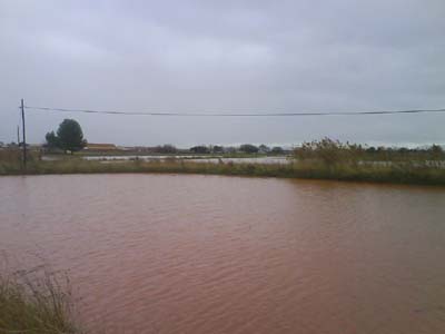 El río Azuer despide el otoño con nuevos desbordamientos a su paso por Membrilla