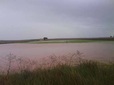 El río Azuer despide el otoño con nuevos desbordamientos a su paso por Membrilla