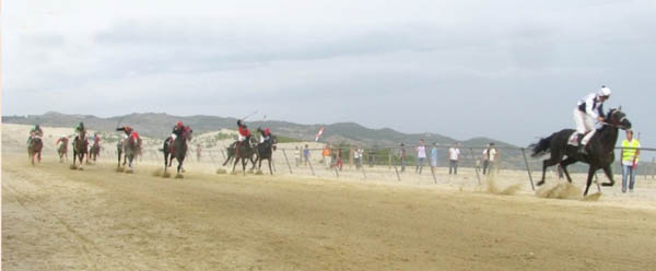 Miura, yegua criada en Membrilla, gana el Gran Premio de Portugal Silver Prize