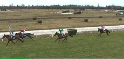 Runner de Haras de Marmaria