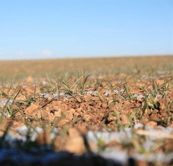 Los agricultores demandan soluciones para paliar las graves consecuencias de la sequía