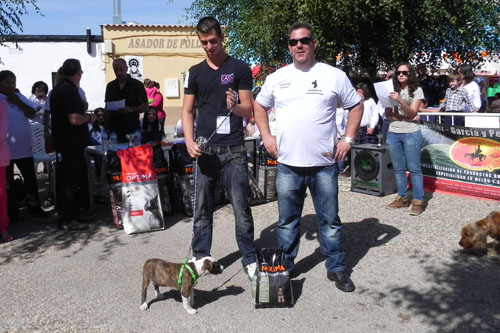  ¡Pa chulo... mi chucho!, el primer concurso canino en Membrilla