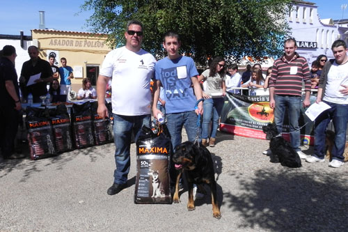  ¡Pa chulo... mi chucho!, el primer concurso canino en Membrilla