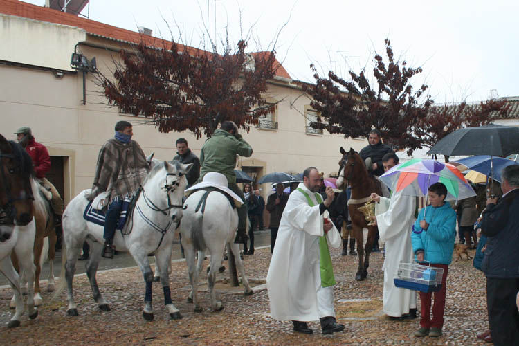 La lluvia vuelve a impedir la salida de la procesión de San Antón en Membrilla