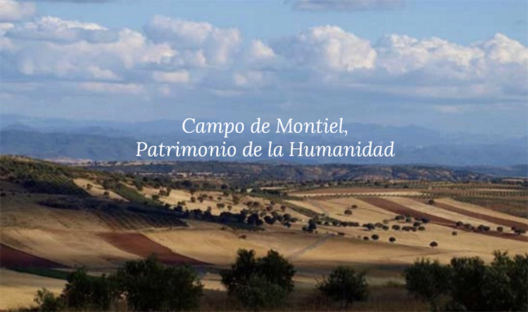  La Junta eleva al Ministerio y el ICOMOS la candidatura de Campo de Montiel a Patrimonio de la Unesco que incluye a Membrilla