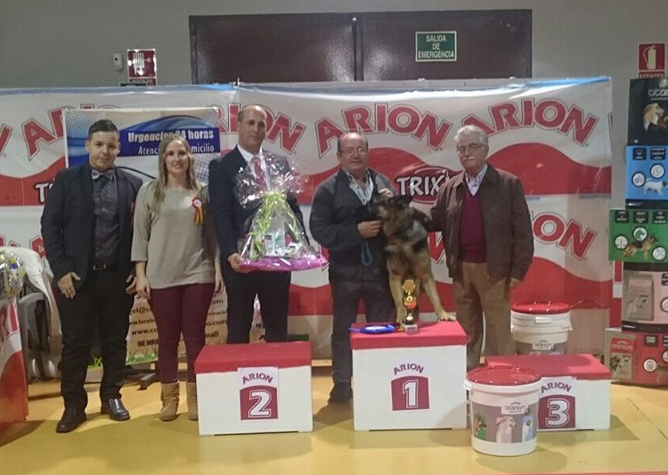 La dálmata Siecitas de Cliveal, Best in Show en el II Concurso Nacional Canino de Membrilla 