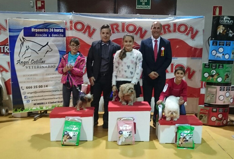 La dálmata Siecitas de Cliveal, Best in Show en el II Concurso Nacional Canino de Membrilla 