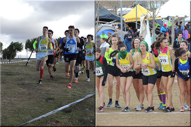 El Club Atletismo Membrilla, doble campeón regional de cross